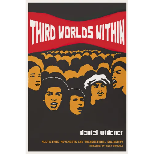 Third Worlds Within: Multiethnic Movements and Transnational Solidarity