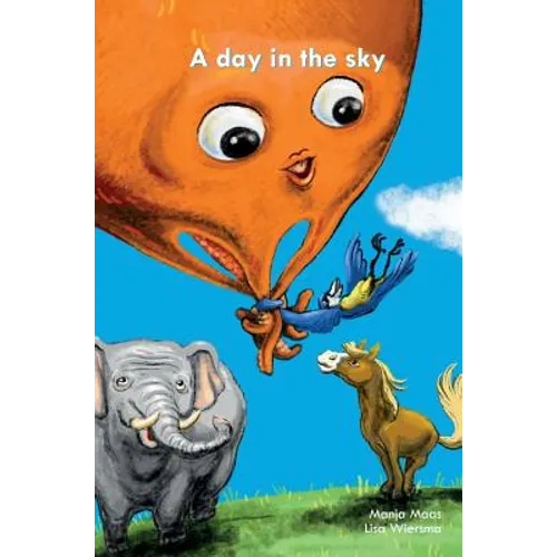 A day in the sky - Hardcover