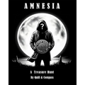 Amnesia A Treasure Hunt