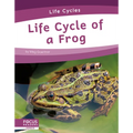 Life Cycle of a Frog