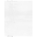 Manuel Burgener: Summary