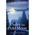 Under the Cold Moon