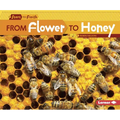 From Flower to Honey