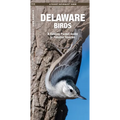 Delaware Birds: A Folding Pocket Guide to Familiar Species