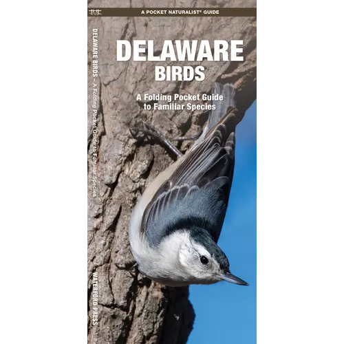 Delaware Birds: A Folding Pocket Guide to Familiar Species