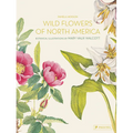 Wild Flowers of North America: Botanical Illustrations by Mary Vaux Walcott