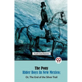 The Pony Rider Boys in New Mexico; Or, The End of the Silver Trail