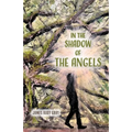In the Shadow of the Angels