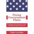 Fixing Government Flaws: Amending Our Constitution to Save Our Representative Democracy