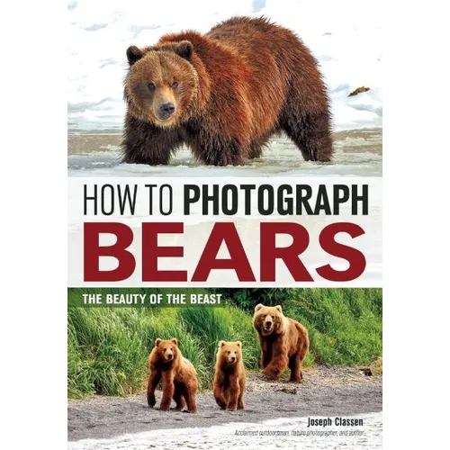 How to Photograph Bears: The Beauty of the Beast