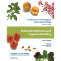 Extension Methods and Capacity Building: Volume 10