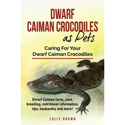 Dwarf Caiman Crocodiles as Pets: Dwarf Caiman facts, care, breeding, nutritional information, tips, husbandry and more! Caring For Your Dwarf Caiman C