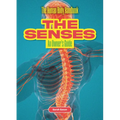 The Senses: An Owner's Guide