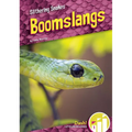 Boomslangs
