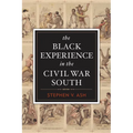 The Black Experience in the Civil War South
