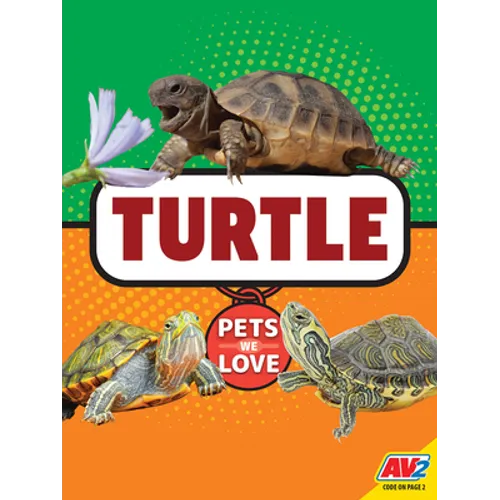 Turtle