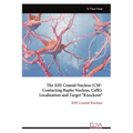 The XIII Cranial Nucleus (CSF-Contacting Raphe Nucleus, CsfR): Localization and Target "Knockout"