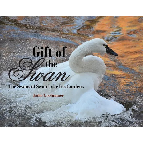 Gift of the Swan: The Swans of Swan Lake Iris Gardens