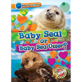 Baby Seal or Baby Sea Otter?