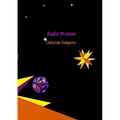 Radix Mission: Mathematical series, Newton expansion for PI, design of Platonic Solids