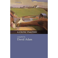 A Celtic Psaltery
