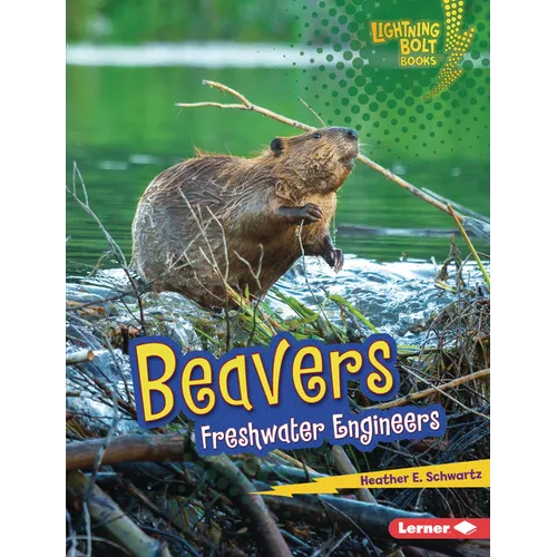 Beavers: Freshwater Engineers