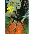 Batman: Arkham Asylum Living Hell Deluxe Edition (2025 Edition)