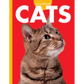 Curious about Cats