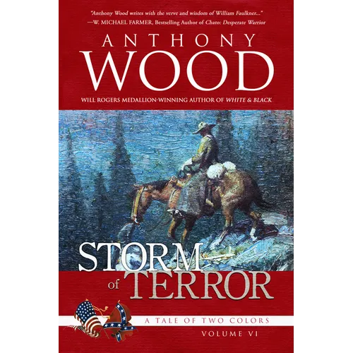 Storm of Terror: A Story of the Civil War