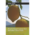 How To Grow A Lemon Tree And Other Citrus Fruits