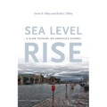 Sea Level Rise: A Slow Tsunami on America's Shores