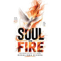Soul on Fire: When Ordinary Faith Isn't Enough Anymore
