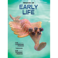Early Life: The Cambrian Period Through the Triassic Period