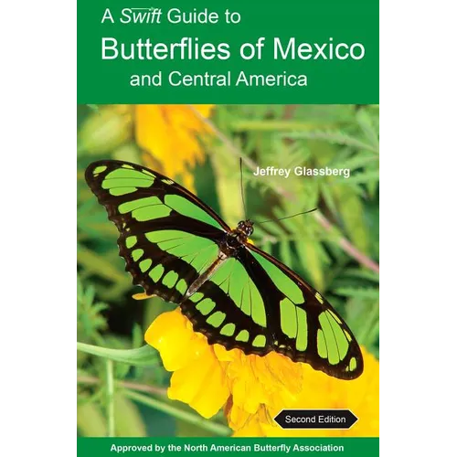 A Swift Guide to Butterflies of Mexico and Central America: Second Edition