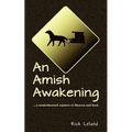 An Amish Awakening: a tenderhearted sojourn to Heaven and back