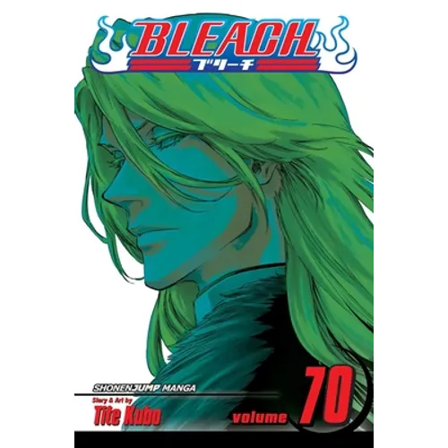 Bleach, Vol. 70: Friend