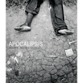 Alvaro Ybarra Zavala: Apocalipsis