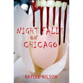 Night Falls on Chicago