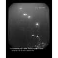 Dispatches from the Drownings: Reporting the Fiction of Nonfiction