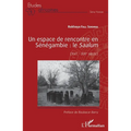 Un espace de rencontre en Sénégambie: le Saalum: (XVIe - XIXe siècle)