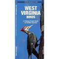 West Virginia Birds: An Introduction to Familiar Species