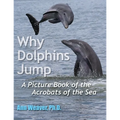 Why Dolphins Jump: A Picture Book of the Acrobats of the Sea