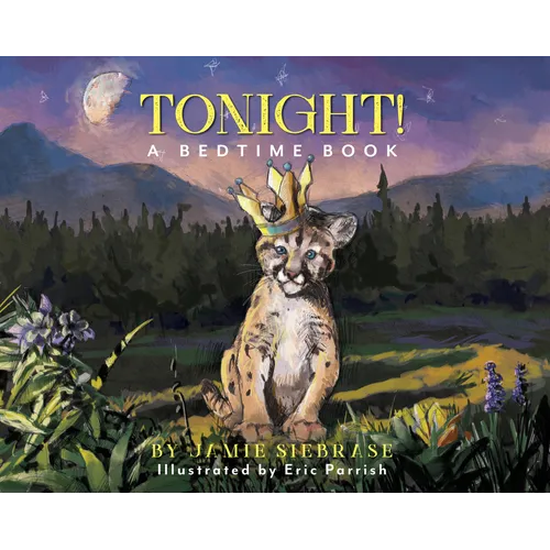 Tonight!: A Bedtime Book