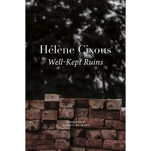 Well-Kept Ruins