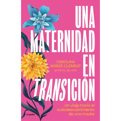 Una Maternidad En Transición / Maternity in Transition