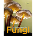 The Fascinating World of Fungi