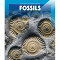 Fossils