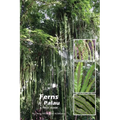 Ferns of Palau: A Field Guide