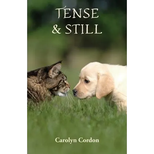Tense & Still
