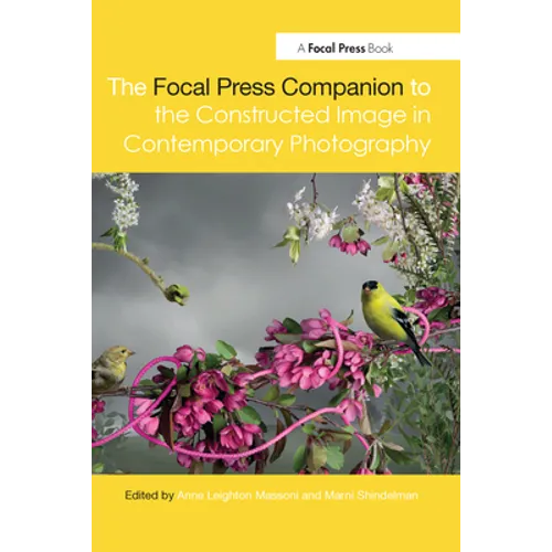 The Focal Press Companion to the Constructed Image in Contemporary Photography